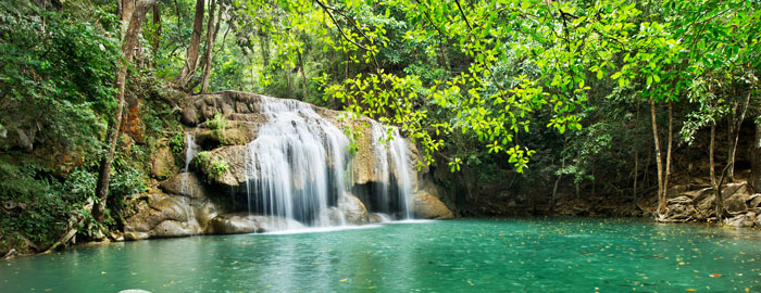 Rich forest cover & natural beauty